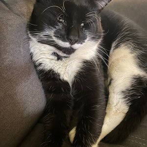 Meet your Posher, Frances